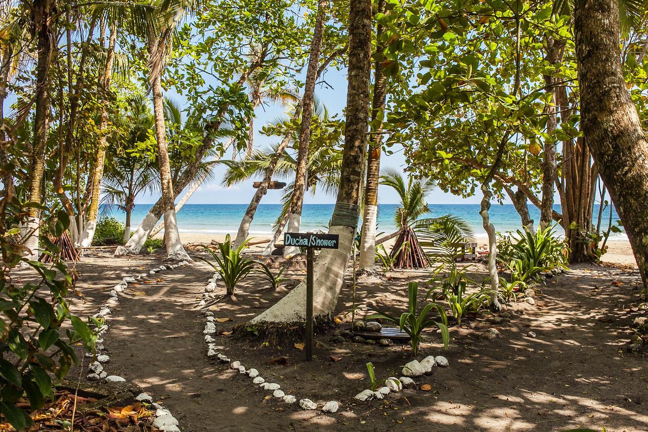 Lapalapa Beachfront Hotel Puerto Viejo de Talamanca 외부 사진