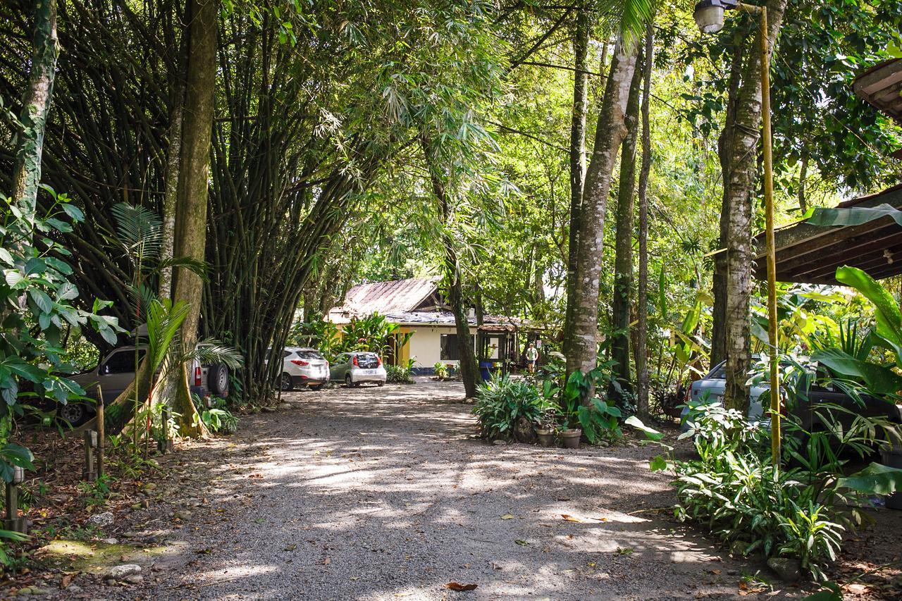 Lapalapa Beachfront Hotel Puerto Viejo de Talamanca 외부 사진