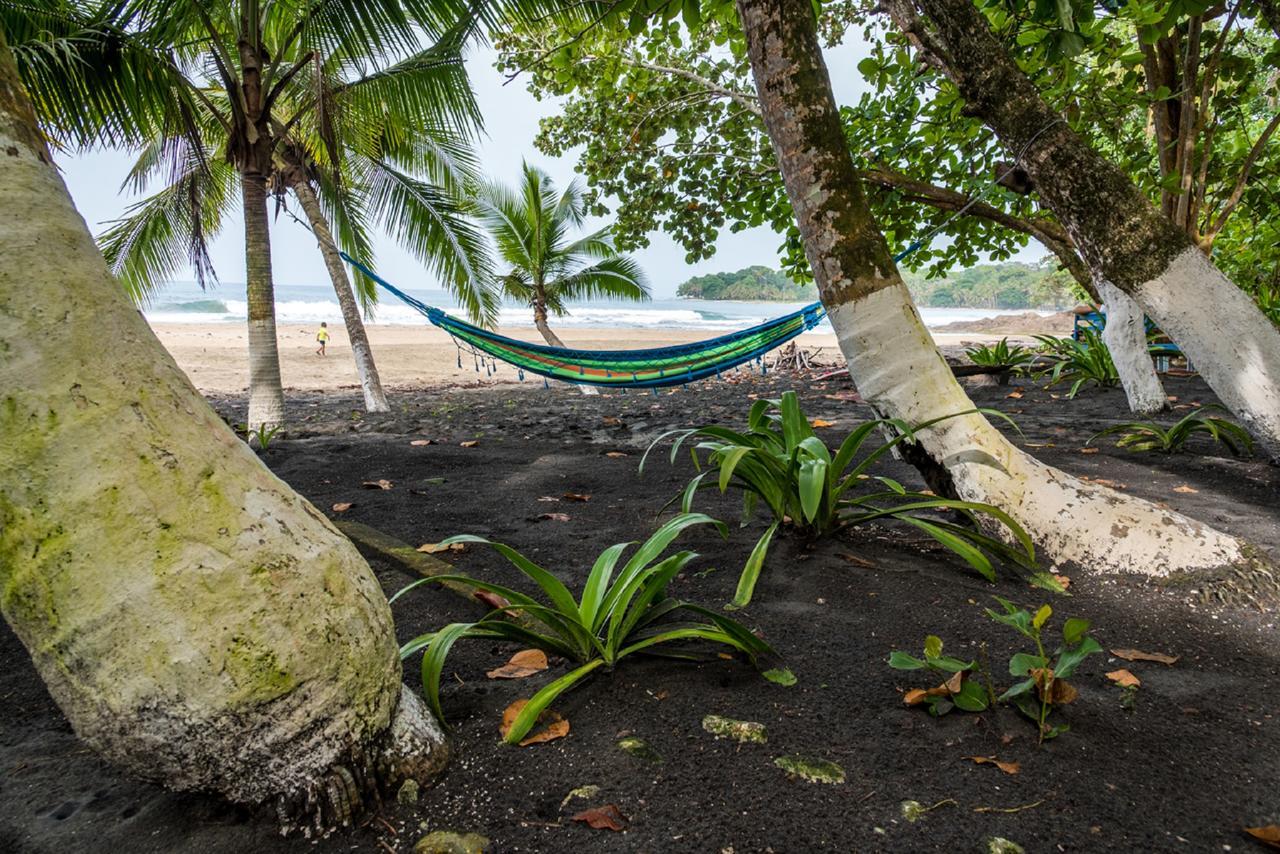 Lapalapa Beachfront Hotel Puerto Viejo de Talamanca 외부 사진