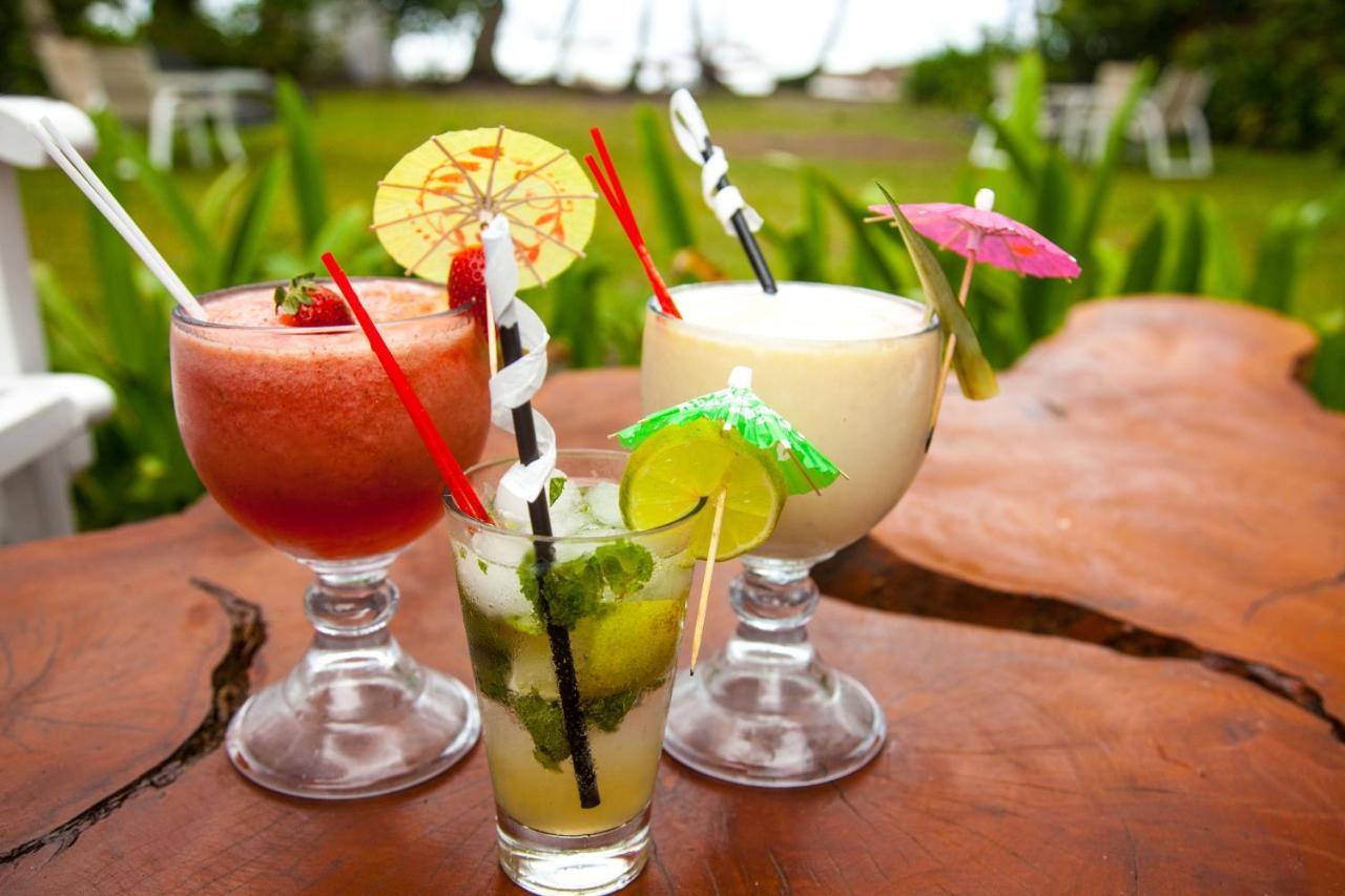 Lapalapa Beachfront Hotel Puerto Viejo de Talamanca 외부 사진