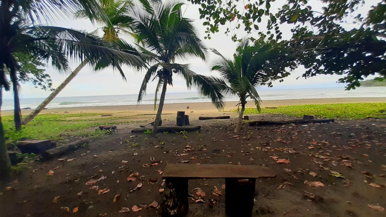 Lapalapa Beachfront Hotel Puerto Viejo de Talamanca 외부 사진