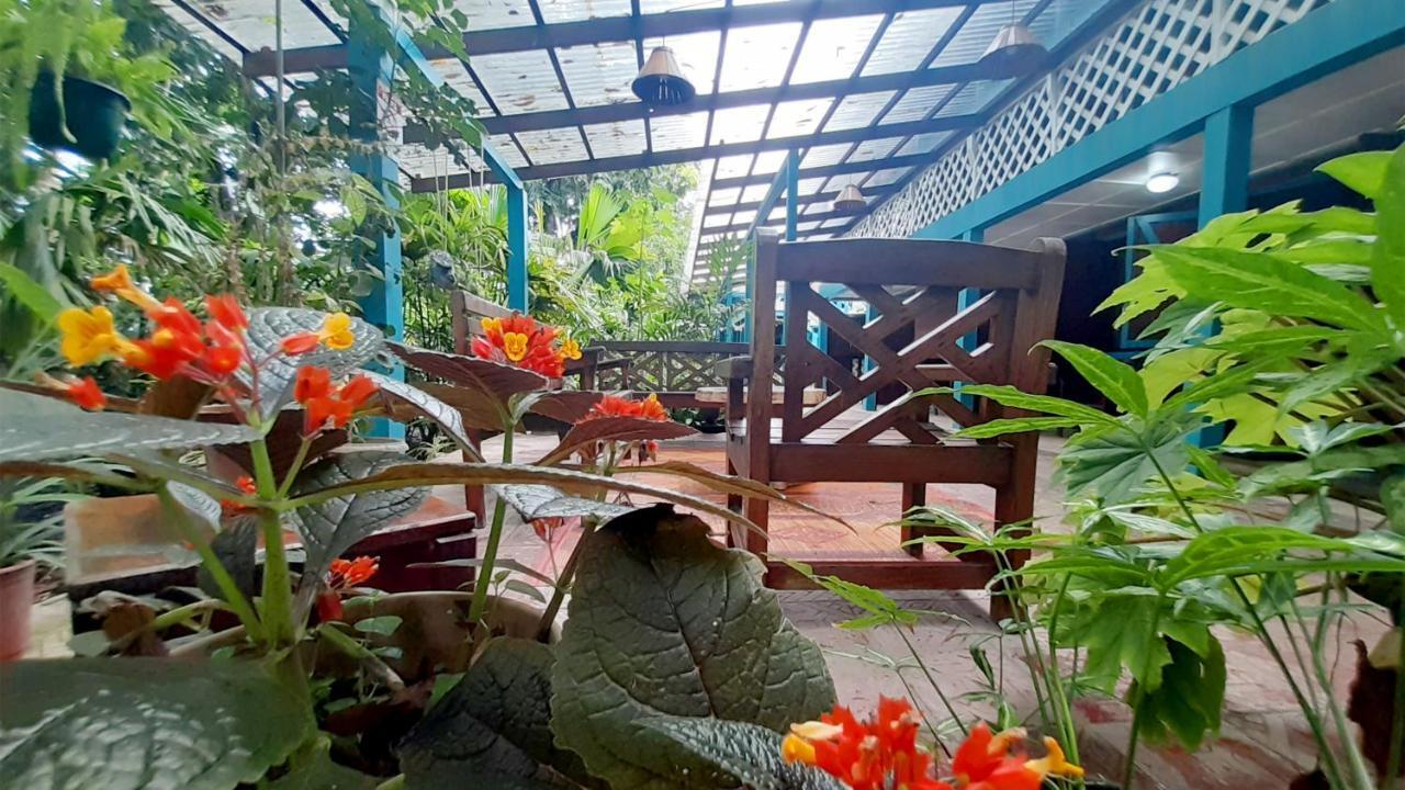 Lapalapa Beachfront Hotel Puerto Viejo de Talamanca 외부 사진